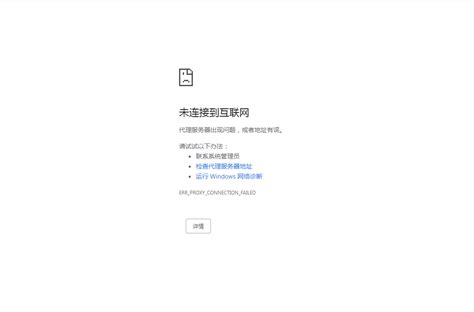 谷歌浏览器提示无法访问此网站怎么回事_无法访问此网站解决方法-天极下载