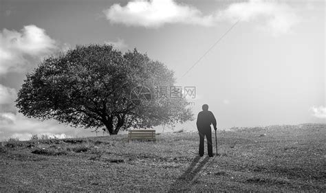 大树下孤独老人的背影高清图片 - 三原图库