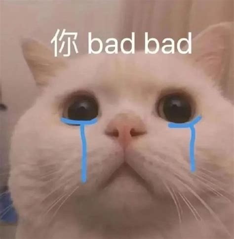 萌死人的表情包图片