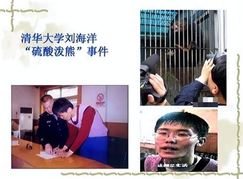 饲养员遭熊攻击身亡 现场疑曝光！上海野生动物园发生熊意外伤人事件_滚动_中国小康网