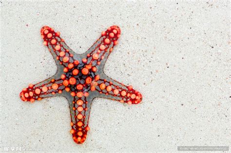 地星撞海星图片
