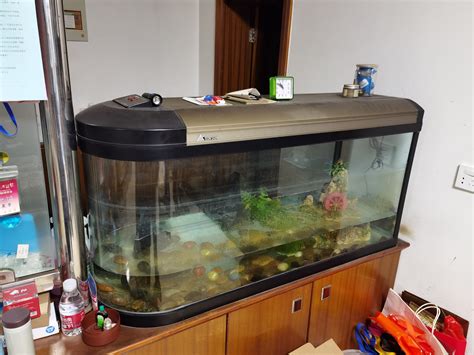 双圆角鱼缸水族箱 欧式生态大型圆弧玻璃鱼缸 底滤龙鱼缸低价促销-阿里巴巴