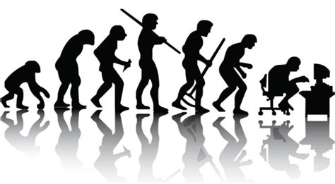 黑猩猩和人进化,黑猩猩和人,黑猩猩_大山谷图库