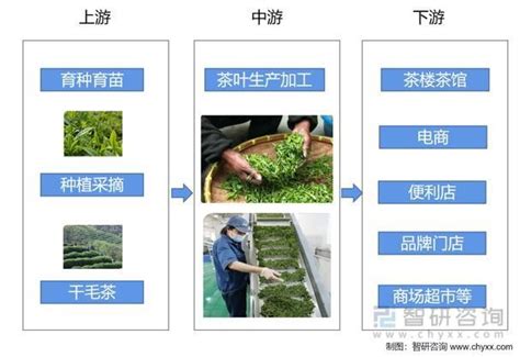 2021中国茶叶线上销售数据及用户画像分析_【快资讯】