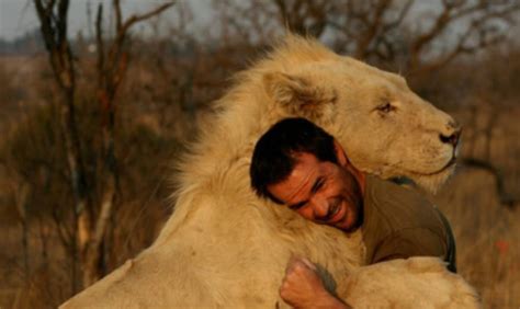 人类是怎样和野兽和平相处的，动物间的真感情可以骑在野生狮子上|棕熊|野兽|人类_新浪新闻