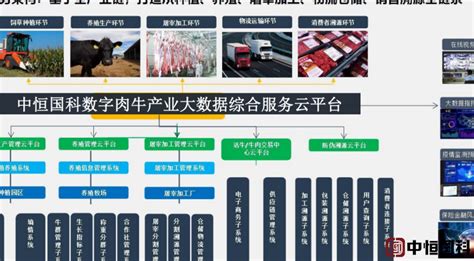 智慧养殖（肉牛）大数据分析系统（四川，重庆，贵州，云南） - 知乎