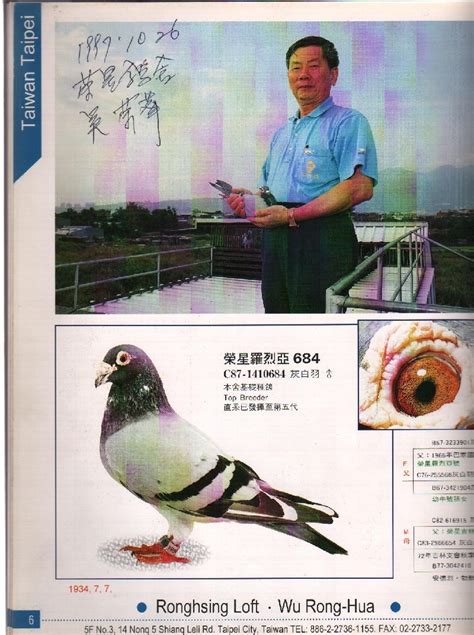 全一飞天鸽舍--中国信鸽信息网相册