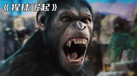 高分动作电影《猩球崛起》，猩猩和人类开战_腾讯视频