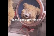 女生签名温柔可爱头像