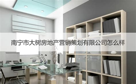 南宁市商品房销售公示平台正式上线使用 - 南宁市房地产业协会