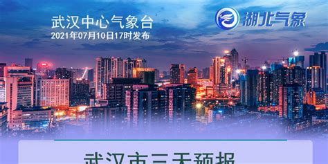 07月10日17时武汉天气预报_手机新浪网