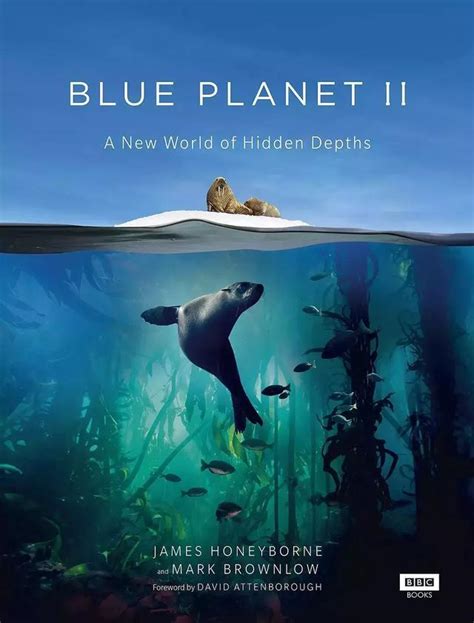 BBC 【星球系列】纪录片大合集，全为蓝光原盘！_地球_自然_人类