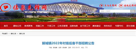 2022年安徽铜陵铜官区公开招考村级后备村官公告(第3号)