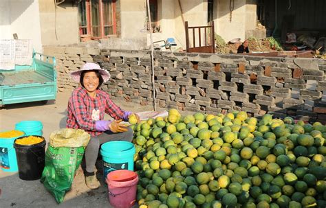 [瓜子批发] 瓜子，瓜蒌籽，年货，干货价格33元/斤 - 惠农网