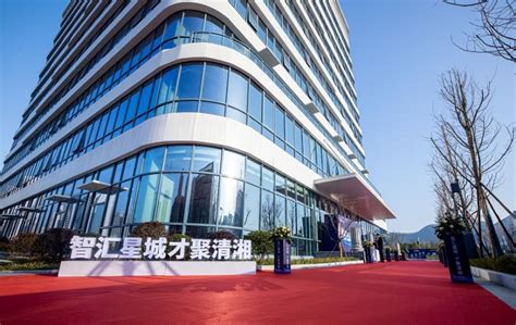 长沙高新技术产业开发区创业服务中心展示区 - 湖南立标展览有限公司