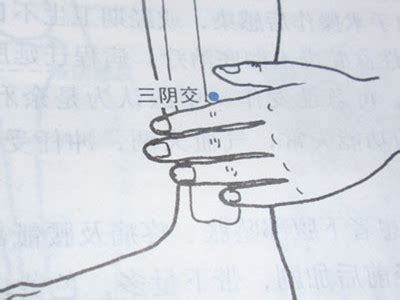 三阴交位置图图片
