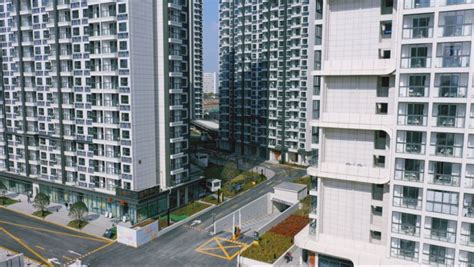 东华软件助力黄浦发展，加速推进黄浦区未来城市规划建设