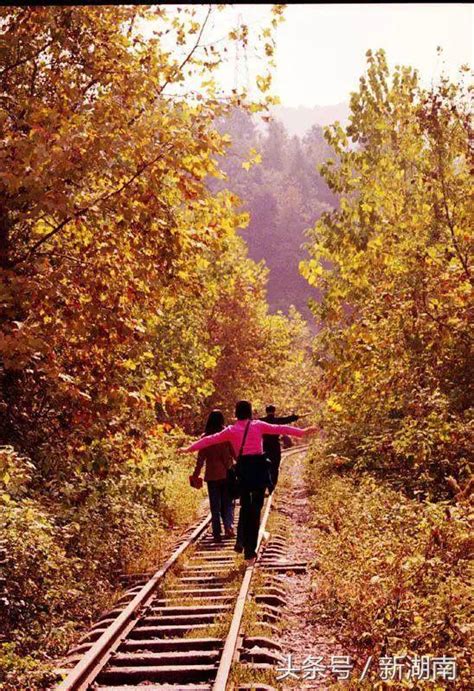 湖南人的小火车情怀！这条连接浏阳醴陵的窄轨铁路你知道吗？
