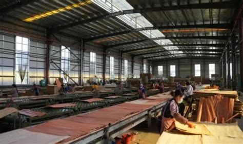 广西乐里镇对7处木材加工厂进行安全生产检查-中国木业网
