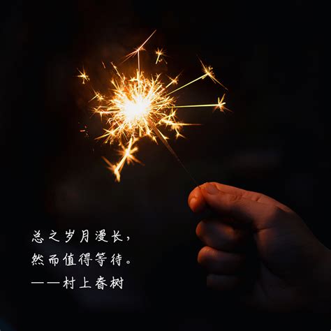 粉黑色烟花照片新年节日分享中文微信朋友圈 - 模板 - Canva可画