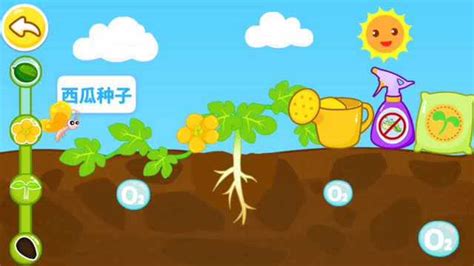 吃西瓜不吐籽，小心肚子里长西瓜，搞笑动画短片《我变成了西瓜》#电影HOT短视频大赛 第二阶段#