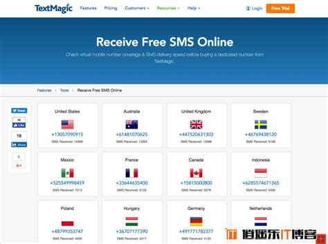 TextMagic Receive Free SMS Online 提供世界 30 国家免费手机号码接收短信服务 - 逍遥乐