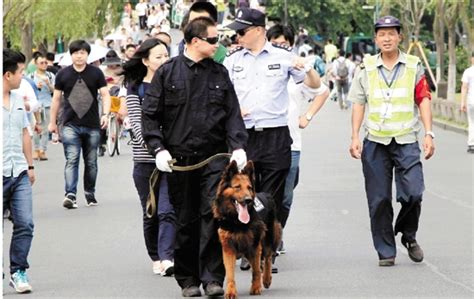 北京：反恐特警专场现场上演索降、警犬技术