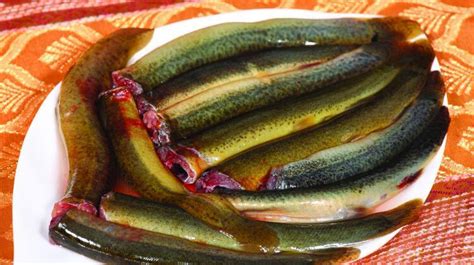 泥鳅的功效与作用及禁忌_泥鳅的营养价值及功效-美食百科-经验本