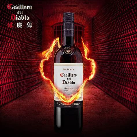 红魔鬼（Casillero del Diablo）智利 梅洛 红葡萄酒750ml单瓶装-微醺网