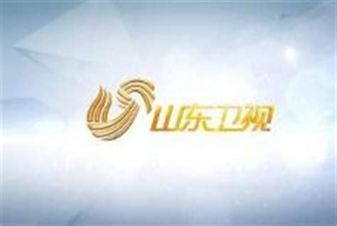 山东卫视台logo设计含义及媒体品牌标志设计理念-三文品牌