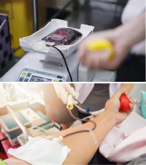 大众科普——献全血or献成分血？今天让你不纠结-中国输血协会