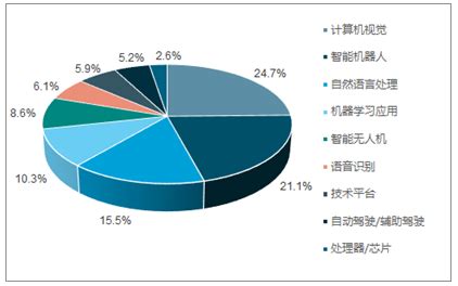 计算机视觉市场分析报告_2020-2026年中国计算机视觉市场前景研究与投资战略咨询报告_中国产业研究报告网