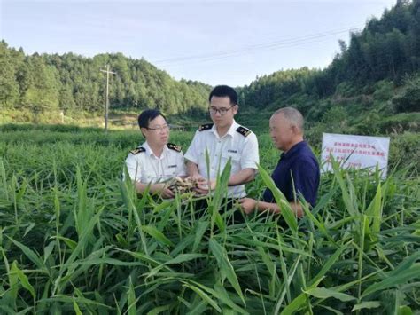 龙津湖公园有望今年国庆前建成开放 - 龙岩今日要闻 - 东南网