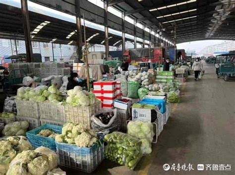 济南最大“菜篮子”供应充足，日均上市3000多吨蔬菜-齐鲁晚报·齐鲁壹点