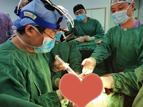 全球首例！中国医学团队成功实施“无缺血”心脏移植手术_凤凰网视频_凤凰网