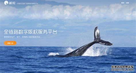阿里上线“鲸观平台” 官网启用.AI域名-站长资讯中心