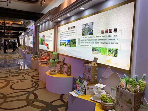 南京的“米袋子”“菜篮子”来了！六合搭建接轨上海市场“直通车”