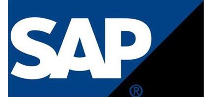 SAP/ERP二次开发，管理软件开发发、ERP开发 — 定制软件开发—实创科技
