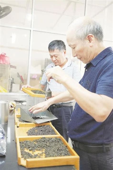 福建漳州茶厂：古味有新韵 - 茶叶新闻 - 山崖茶谈