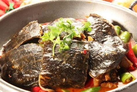 甲鱼的营养价值和两种烹饪方法_甲鱼的烹饪方法有几种怎么做 - 育儿指南