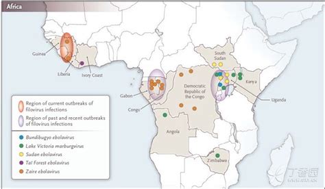 科学家绘制埃博拉疫情地图|疫情|地图_凤凰资讯