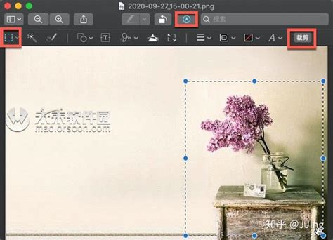 Adobe InDesign裁剪图片的方法-Adobe InDesign怎么裁剪图片 - 极光下载站