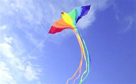 小学举办“风筝节”，学生们亲手制作属于自己的风筝_服务_活动_青山区