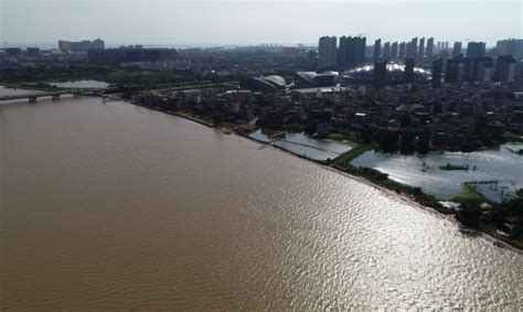黄河出现年第号洪水第号洪水，法直播记者直击一线