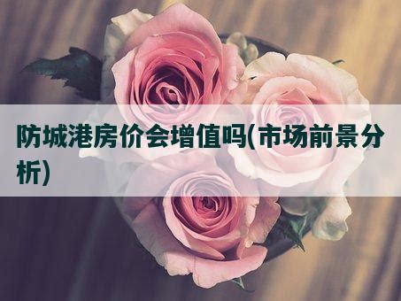 2023年买房|防城港房价跌了吗？有哪些在售好房？-防城港楼盘网