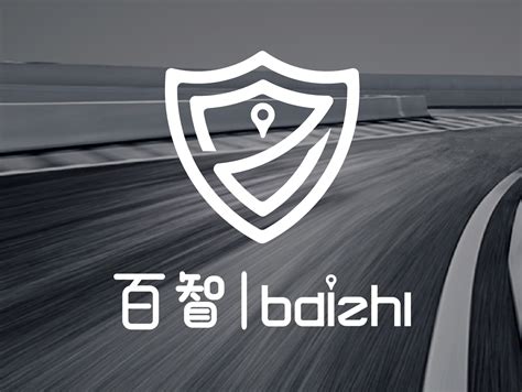 百智logo设计NO.2|平面|Logo|rainj - 原创作品 - 站酷 (ZCOOL)