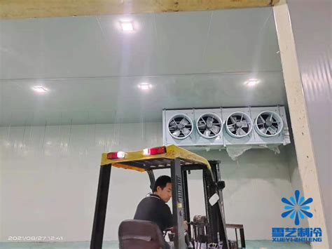 超低温冷库设计安装方案_上海雪艺制冷科技发展有限公司