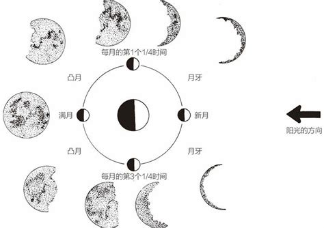 三种风格月相图矢量素材 Moon Phases – Free Vector Illustrations – 设计小咖