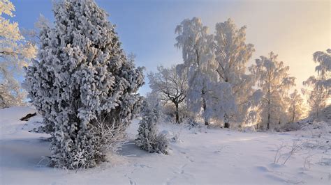 冬季雪景图片壁纸1920x1080分辨率下载,冬季雪景图片壁纸,高清图片,壁纸,自然风景-桌面城市
