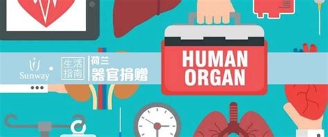 广州日报数字报-国内首名器官捐献协调员： 新规促器官捐献更科学公正